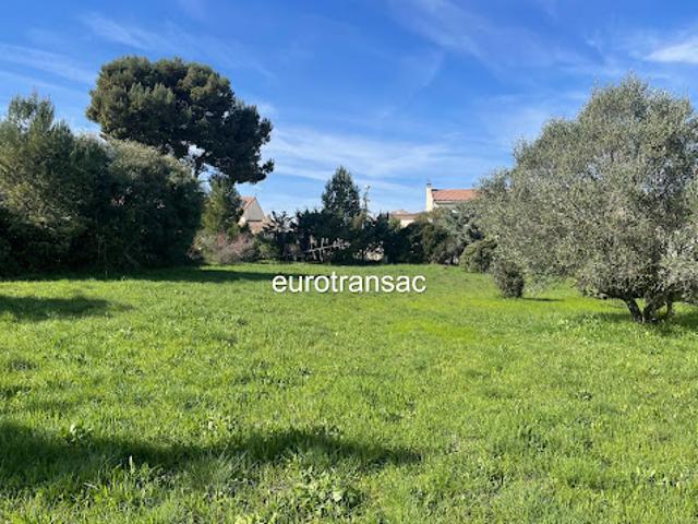 Terrain vente à Montpellier, Loupian