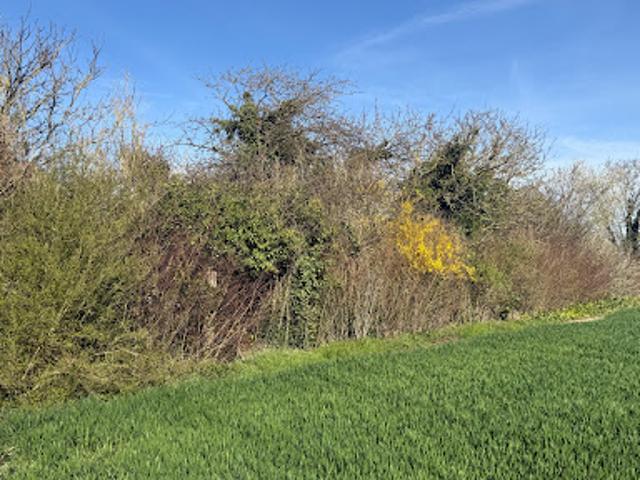 Terrain vente à Nogent-sur-Seine, Romilly-sur-seine