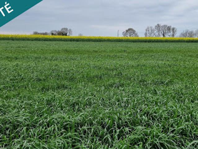 Terrain vente à France métropolitaine, Saint-romain-de-benet