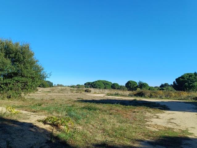 Terrain vente à Céret, Latour-bas-elne