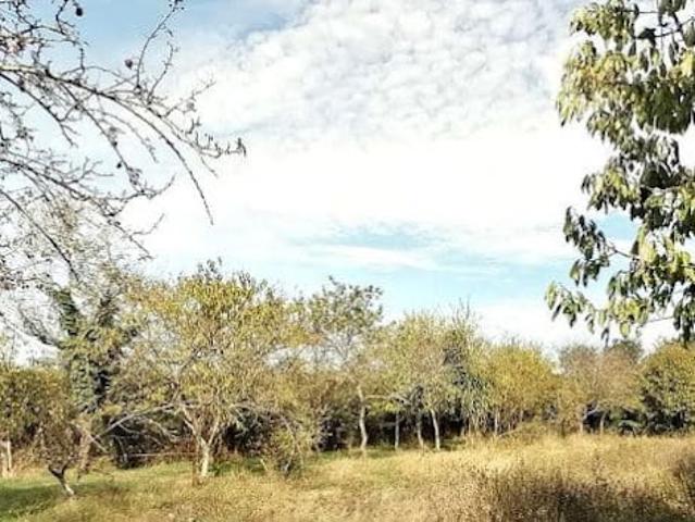 Terrain vente à Châtellerault, Naintré