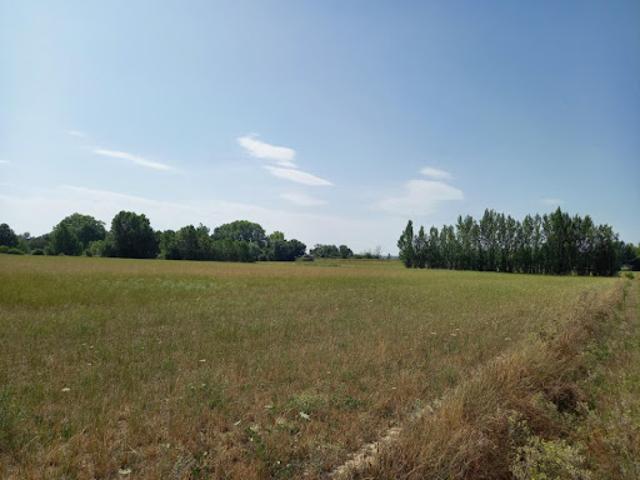 Terrain vente à Castres, Saint-lieux-lès-lavaur