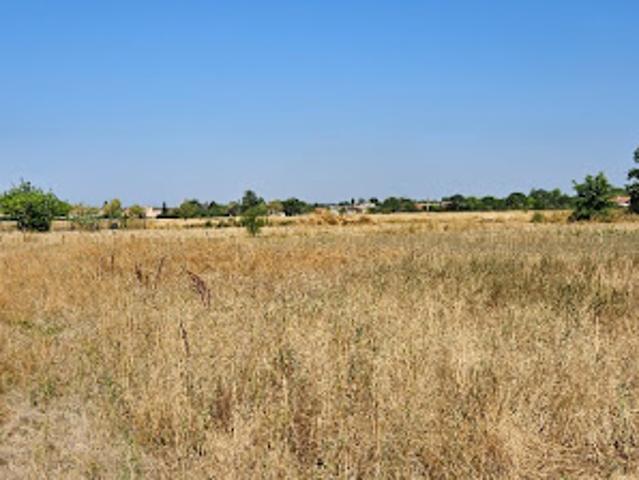 Terrain vente à Muret, Lamasquère