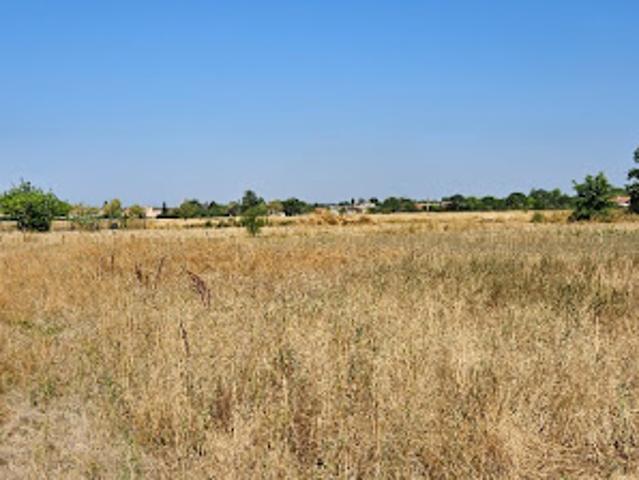 Terrain vente à Muret, Lamasquère