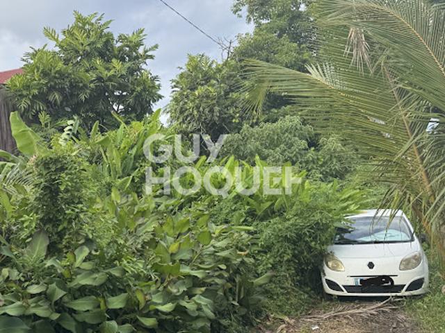 Terrain vente à La Réunion