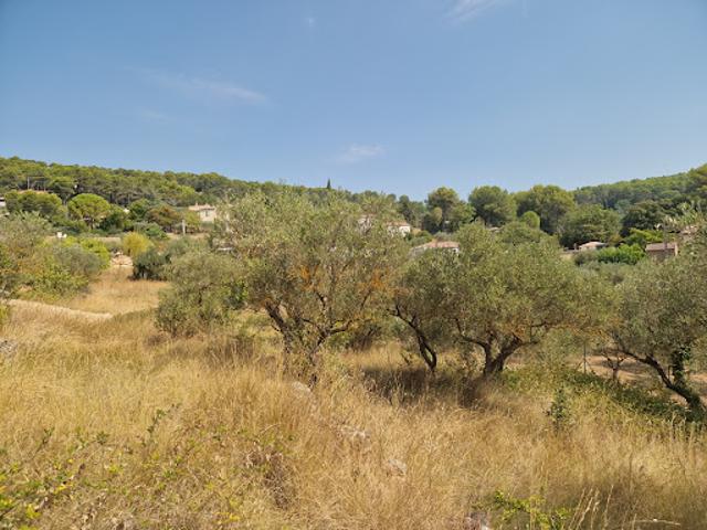 Terrain vente à Arrondissement de Draguignan, Lorgues