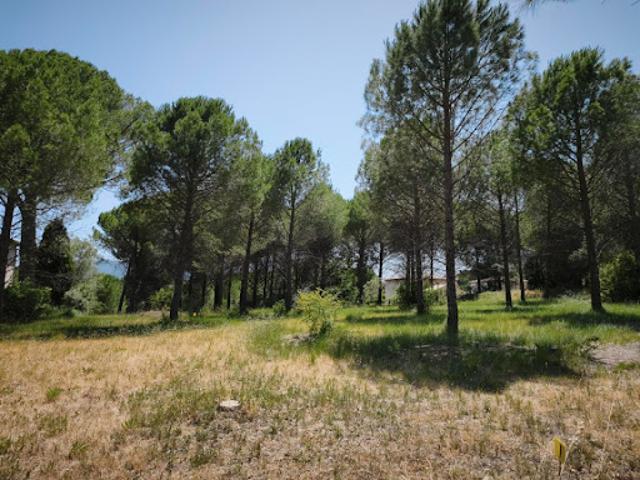 Terrain vente à Arrondissement de Draguignan, Roquebrune-sur-argens
