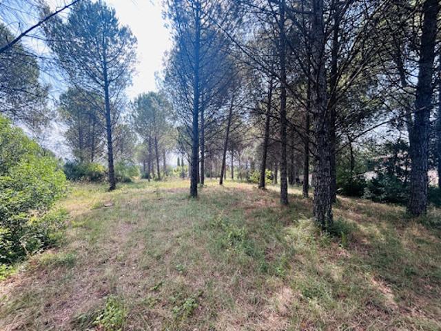 Terrain vente à Arrondissement de Draguignan, Roquebrune-sur-argens