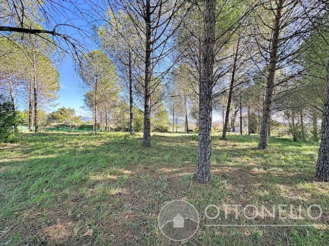 Terrain vente à Arrondissement de Draguignan, Roquebrune-sur-argens