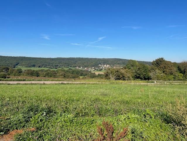 Terrain vente à Vesoul, La Demie