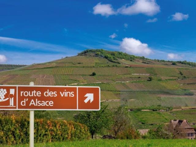 Terrain vente à Sélestat-Erstein, Châtenois
