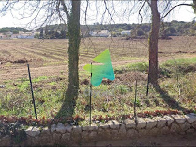 Terrain vente à Narbonne, Bizanet