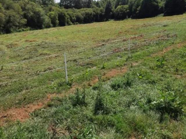 Terrain vente à Coëtlogon, Plumieux