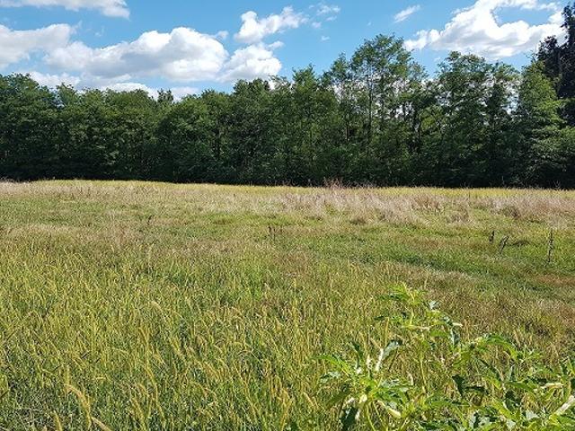 Terrain vente à France métropolitaine, Pomarez