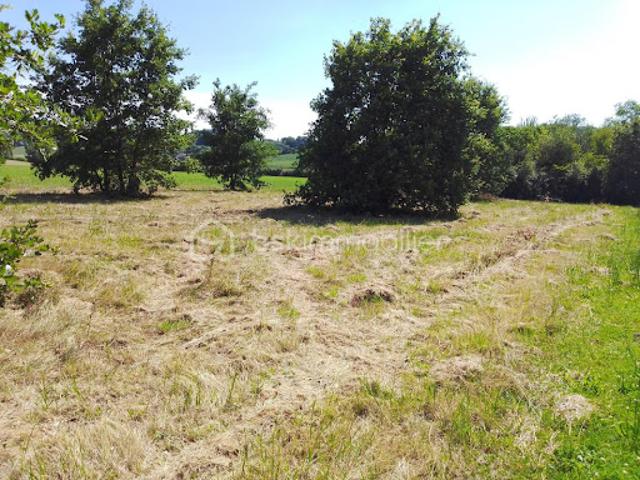 Terrain vente à Nérac, Saint-pierre-de-buzet