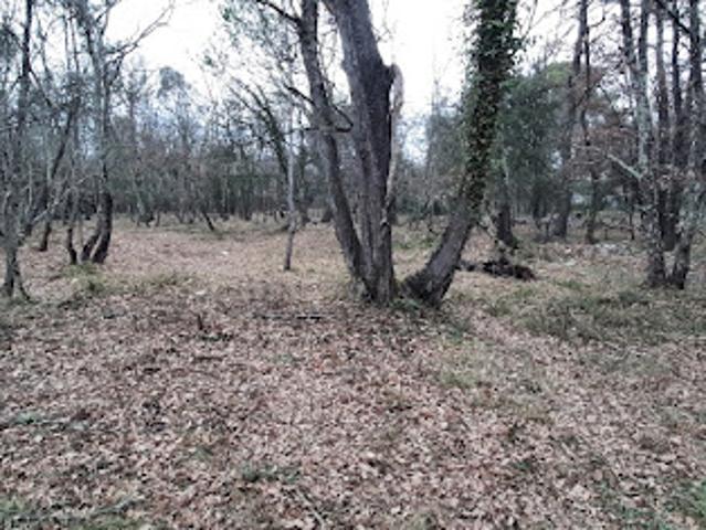 Terrain vente à Arrondissement de Draguignan, Trans-en-provence