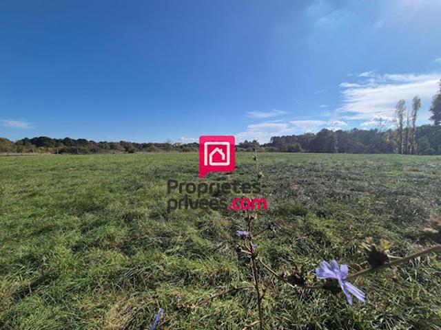 Terrain vente à Langon, Cours-les-bains