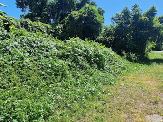 Terrain vente à La Réunion