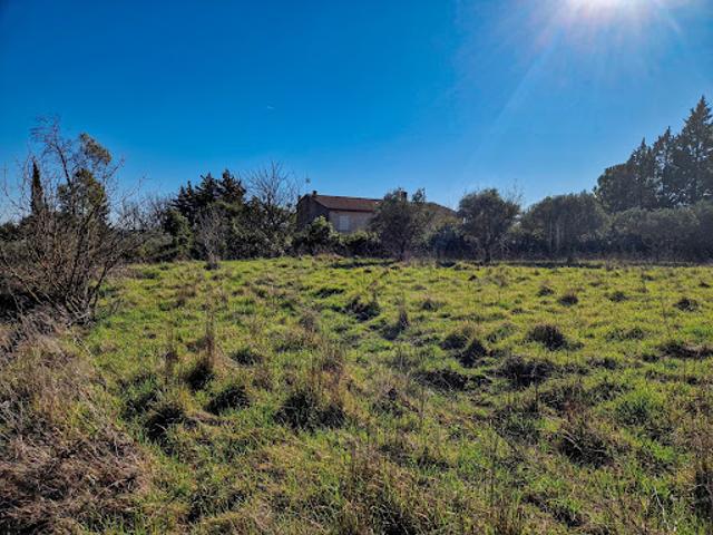 Terrain vente à Arrondissement de Draguignan, Lorgues