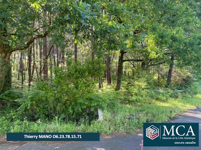 Terrain vente à France métropolitaine, Sanguinet