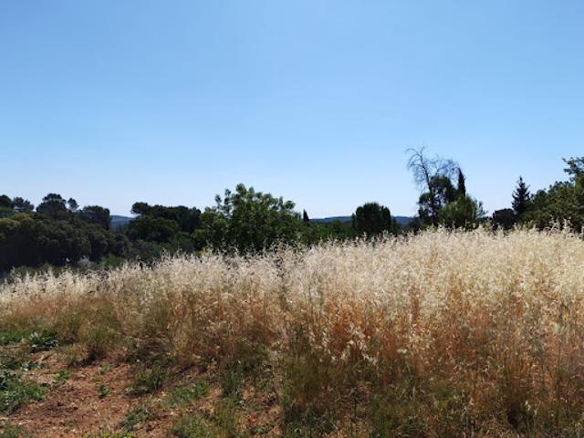 Terrain vente à Arrondissement de Draguignan, Lorgues