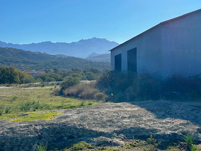 Terrain vente à Calvi, Aregno