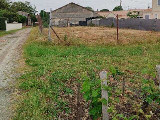 Terrain vente à Lesparre-Médoc, Pauillac