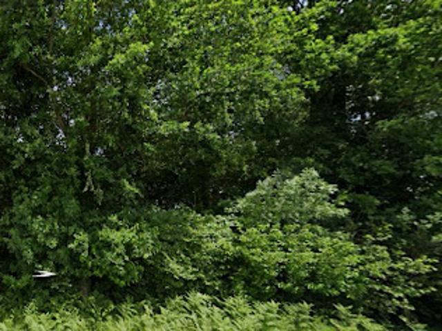 Terrain vente à Saintes, Corme-royal