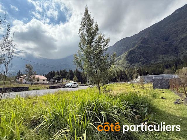 Terrain vente à La Réunion