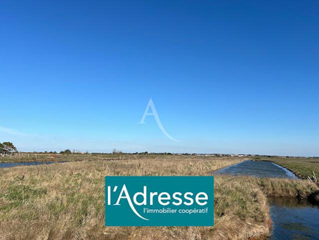 Terrain vente à Les Sables-d'Olonne, Beauvoir-sur-mer