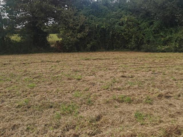 Terrain vente à France métropolitaine, Hinx