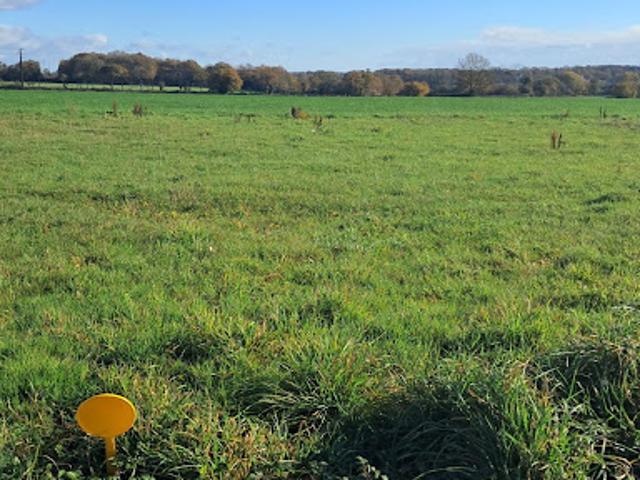 Terrain vente à Châteaubriant-Ancenis, Ruffigné