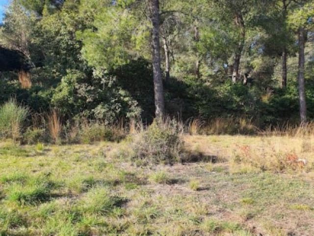 Terrain vente à France métropolitaine, Ollioules