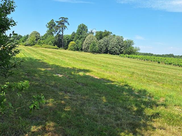 Terrain vente à Bordeaux, Créon