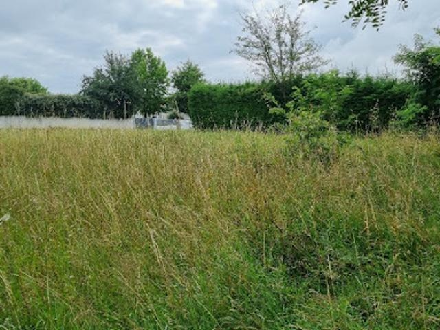 Terrain vente à Bordeaux, Blanquefort