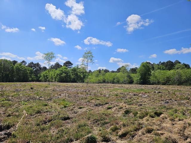 Terrain vente à Bordeaux, Cadaujac