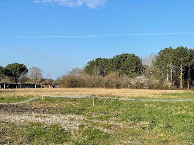 Terrain vente à France métropolitaine, Cars