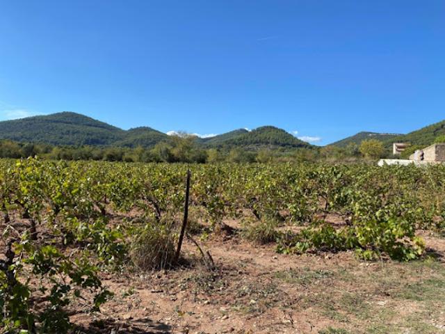 Terrain vente à Arrondissement de Toulon, Le Castellet