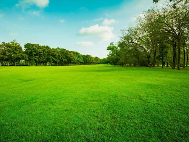 Terrain vente à Mâcon, Viré