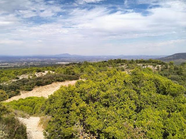 Terrain vente à Montpellier, Montbazin