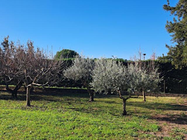 Terrain vente à Pernes-les-Fontaines, Vaucluse