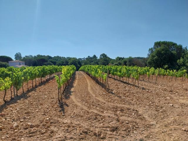 Terrain vente à Arrondissement de Draguignan, Cogolin