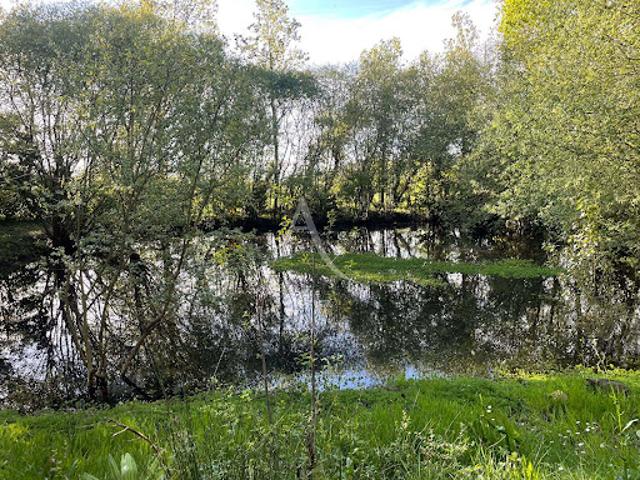 Terrain vente à France métropolitaine, Nieul-le-dolent