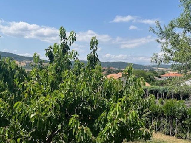 Terrain vente à Tournon-sur-Rhône, Savas