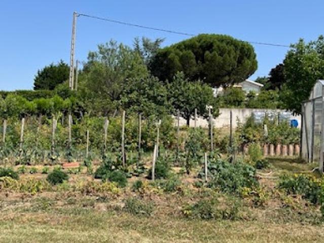 Terrain vente à Tournon-sur-Rhône, Savas