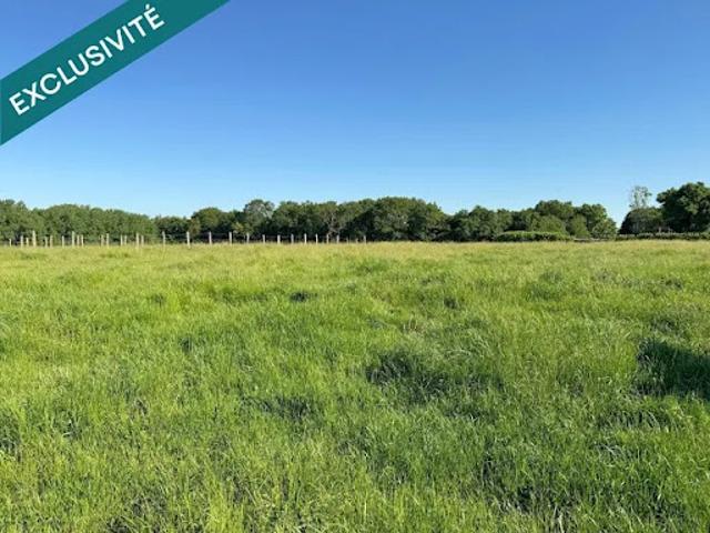 Terrain vente à Torcy, Servon