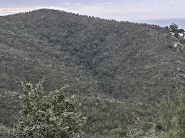 Terrain vente à Arrondissement de Toulon, Bormes-les-mimosas