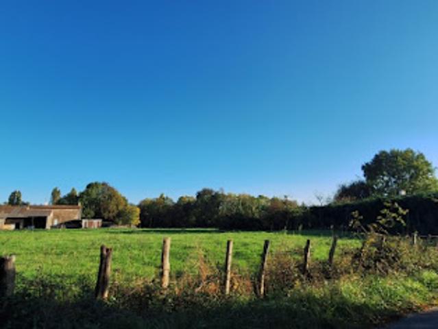 Terrain vente à France métropolitaine, Saujon