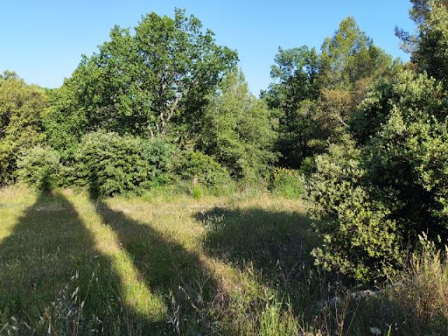 Terrain vente à Arrondissement de Draguignan, Lorgues