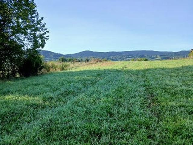 Terrain vente à Montbrison, Saint-priest-la-vêtre